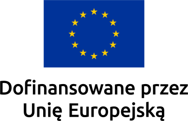 Dofinansowane przez Unię Europejską Dofinansowane przez Unię Europejską